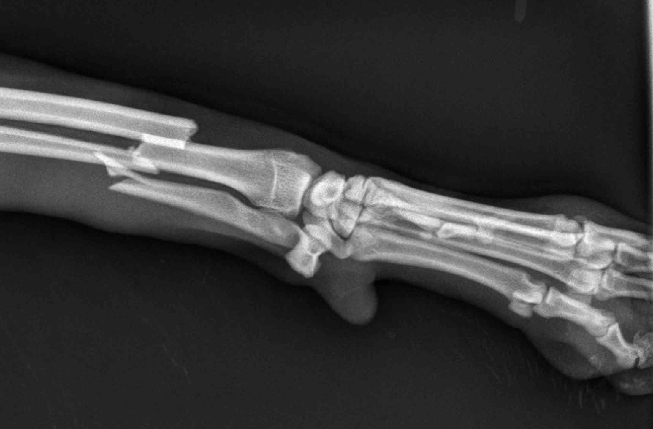 radiologie sallanches